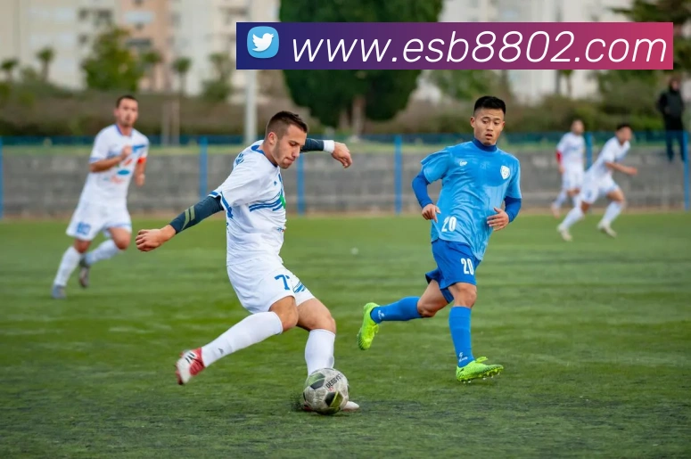 esball易世博APP 封面图